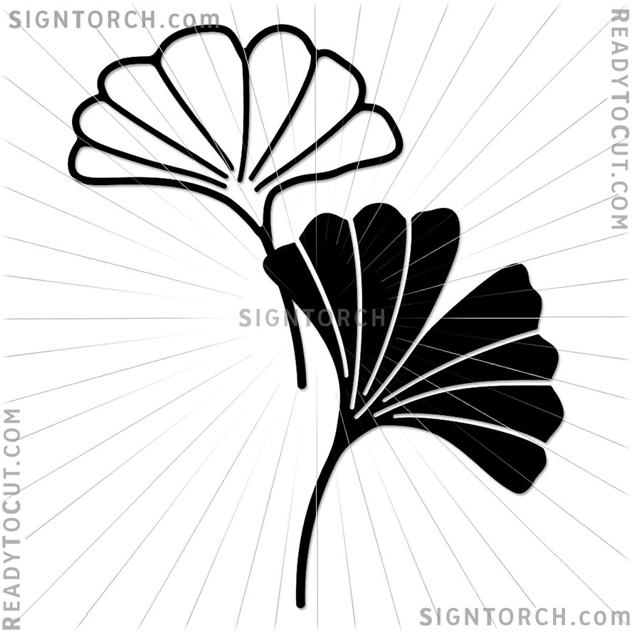 ginkgo_leaves6545.jpg