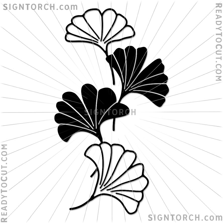 ginkgo_leaves6546.jpg