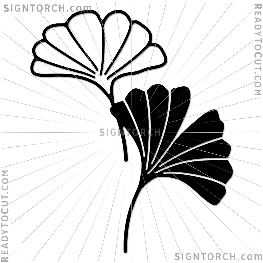 ginkgo_leaves6549.jpg