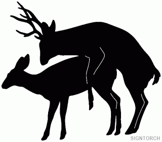 mule_deer_mating~.gif