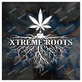 x-treme_roots3899af.jpg